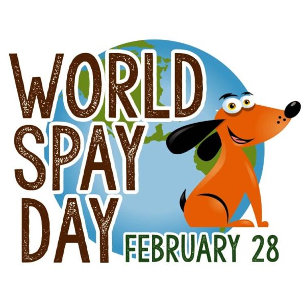 world spay day