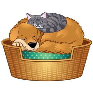 Cute pets dog and cat friendship sleeping in basket