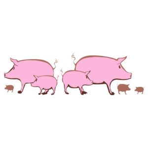 Cute pink pigs family father mother sow and a piglet are walking somewhere side view