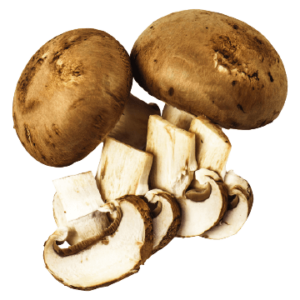 Fresh mushrooms vegetable