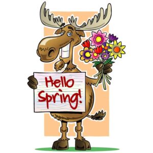 Hello spring lettering and flowers holding funny moose