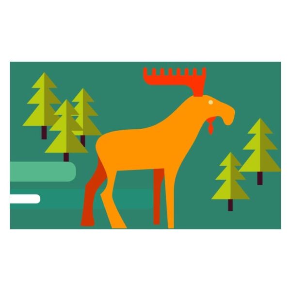 Moose animal and pine trees