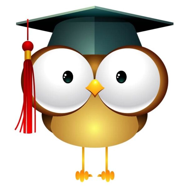 Owl wearing graduation cap