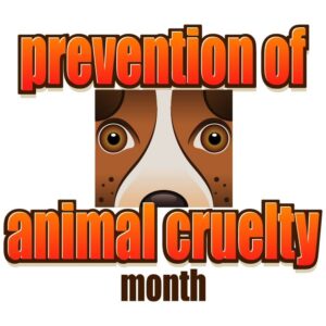 Prevention of animal cruelty month