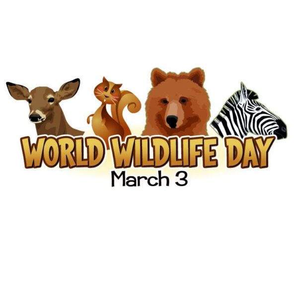 world wildlife day with wild animals