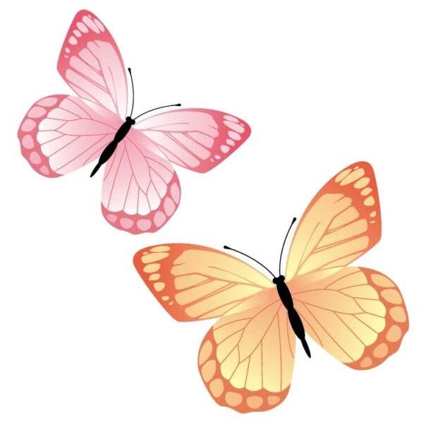 Beautiful colorful pink and yellow Butterfly