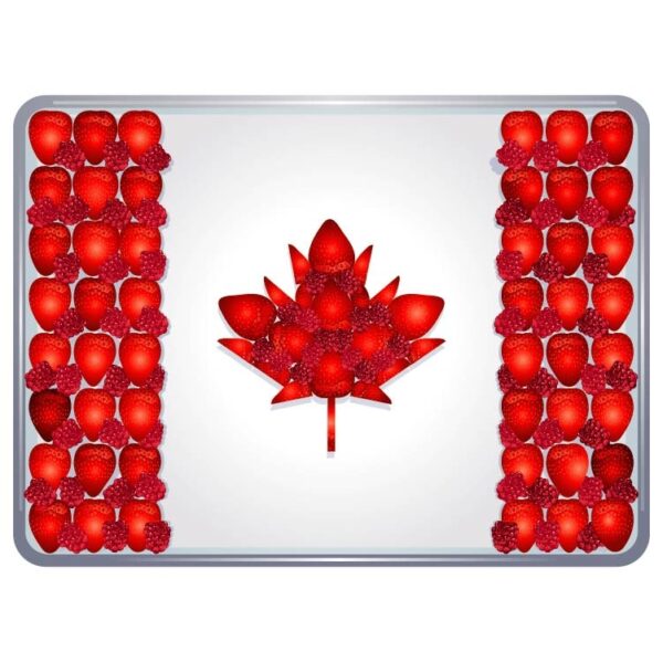 Canadian flag with maple leaf made of strawberries on plate to celebrate canada day