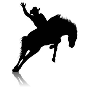 Cowboy riding a horse with the horse back legs on the ground and its front legs in the air in western style