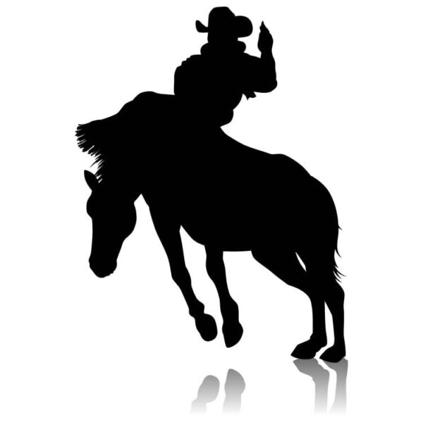 Cowboy riding horse silhouette with shadow