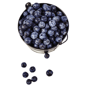 Fresh sweet blueberry fruit and dessert healthy food with ripe blue juicy