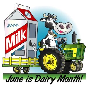 June is dairy month and cow carrying milk by tractor