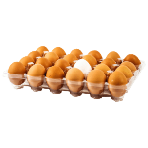 Two dozen fresh brown eggs in open plastic container with heavy vitamins and minerals