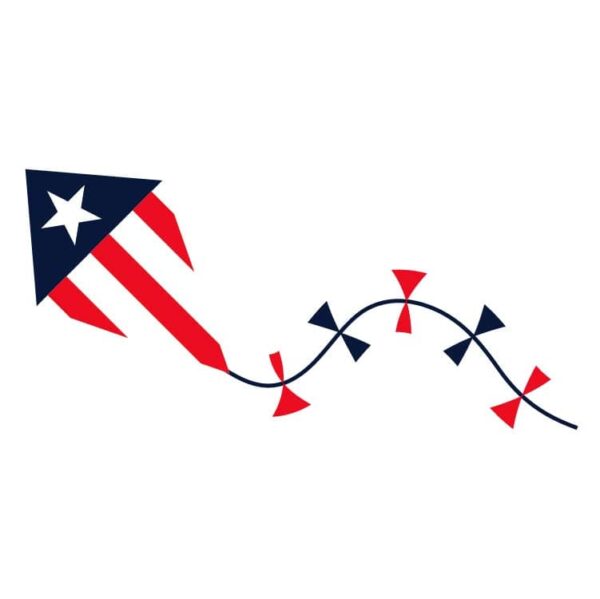 United states of america firework kite or USA firework kite