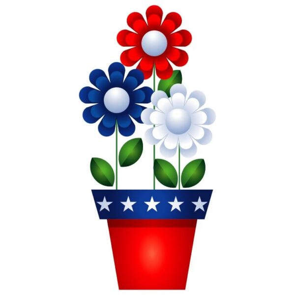 United states of america flag flower concept USA flag