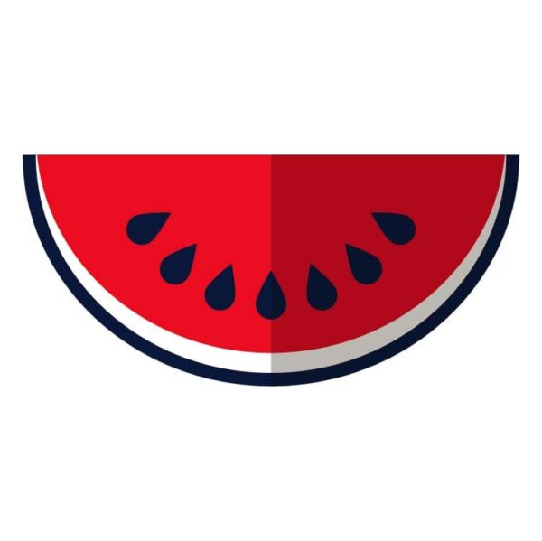 Watermelon slice food fruit icon